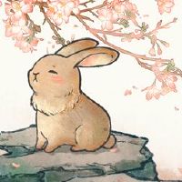 如何嫁给婚姻对兔子和兔子有好处?