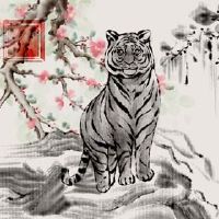 它与猴子和老虎女孩匹配的婚姻吗?