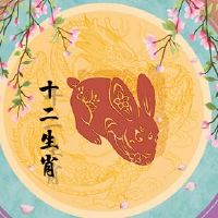 雄性兔子松鼠怎么匹配婚姻?