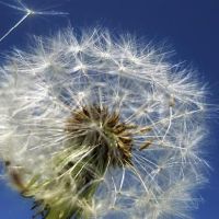 熊上帝进入一周的十二生肖(4.11-4.17)