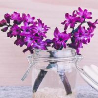 李云天塔罗牌一周生肖运势(4.18-4.24)