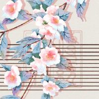 黄道带解决方案,什么是无所不能的?