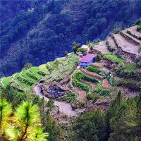 2022年5月20日是黄道吉日吗