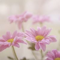 什么样的珠宝会穿什么?四大幸运配件!