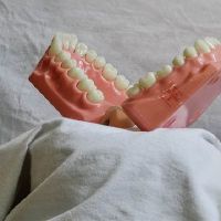 牙齿的梦想是什么?