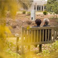 梦见我母亲的死亡