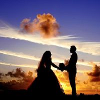 梦想要指出他预测什么