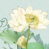 2022年夏至后的第一个庚曰是哪一日 梅雨特色显著