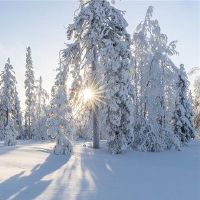 你在下雪的日子里做什么?