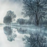 梦想雪是什么意思?