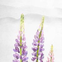 2022年7月4日是什么日子?这天是黄道吉日吗?