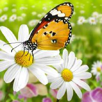 日坐偏印男是否会出轨 难得贤妻