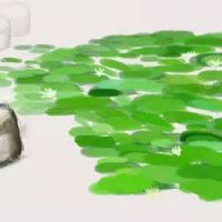 订婚择吉 生肖猪2022年11月宜订婚大吉日