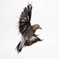 2022年农历九月二十结婚可以吗 今日是不是嫁娶日子