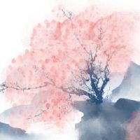 2022年12月7日生肖冲煞: 今日冲什么生肖