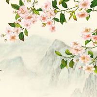 为什么好多人车牌尾号要6 吉利车牌号选择小妙招