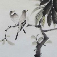 2022年11月9日出生女孩是什么命格 学业有成 贵人扶持