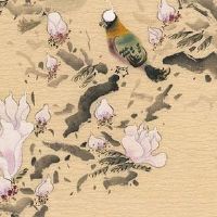 手指十个簸箕的女人命运 财富自由压力小