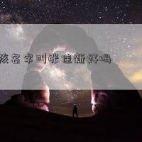 男孩的名字叫张王,好吗?