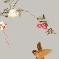 2023年1月24日出生的女宝宝命格查询,是什么命五行属什么