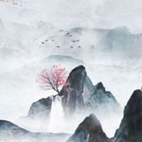 八字纯阳女生凤凰命 无畏危险事业成功