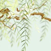 2023年1月28日出生女孩五行查询,宝宝先天命格好不好