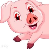 属猪2022年8月运势及运程解读 2022年8月属猪人的运势如何