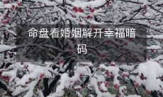 透视你的命盘,解读婚姻运势,发现幸福人生的秘密密码