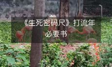 《生死密码尺》:在流年中必不可少的必读之书