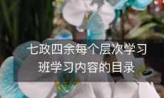 七政四余学习班各层次课程内容目录概览