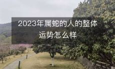 如何评估2023年属蛇的人的整体运势?