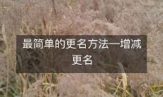 通过增减更名实现的最为简单的企业更名方法
