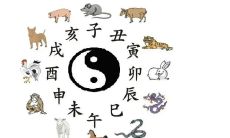 2023年3月16日的生肖冲煞一览表:详细解析属相相冲、相刑、相合情况