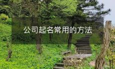 掌握公司起名的常用方法,让你轻松起一个独具特色的公司名字!