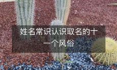 11个文化传统:了解姓名常识、认识取名的重要性与方式