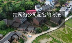 如何选择一个适合网络公司的独特名称:探究起名的艺术与科学