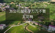 公司命名应避免过于炫耀和浮华,务求简洁和实用