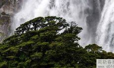 2022年最全推荐!适用于男孩的虎宝宝名字大全以及独特起名方法!