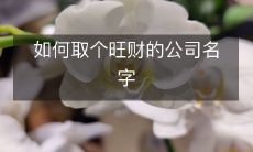 寻找灵感:如何选取一个有旺盛生意的、令人记忆深刻的公司名称?