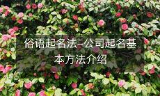 详解公司起名基本方法:利用俗语起名法的技巧