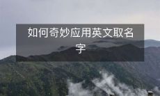 探讨如何巧妙地运用英文命名以创造独特个性的方法