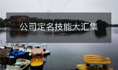 深入探索企业命名艺术:技能与创意的完美融合