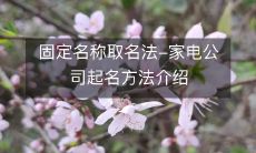 介绍家电公司命名的固定名称取名法