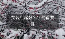 女装店的命名是成功的关键因素:为什么好的店名如此重要?