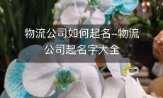 如何给物流公司取名字?一份全面的物流公司命名指南,包括物流公司取名技巧、物流公司取名灵感、物流公司命名注意事项等,提供完整的物流公司取名字大全