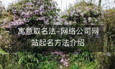 详解寓意取名法:网络公司网站起名技巧和方法全面解析