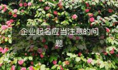 在起名企业时需要注意的事项和关键要素