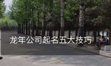 推荐的五大技巧:如何取一个有利于品牌建设的龙年公司名称?