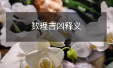 数理解析:通过数字和数学运算来预测吉凶祸福的含义与解释