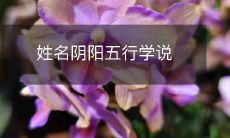 姓名命理中的阴阳五行理论初步解析